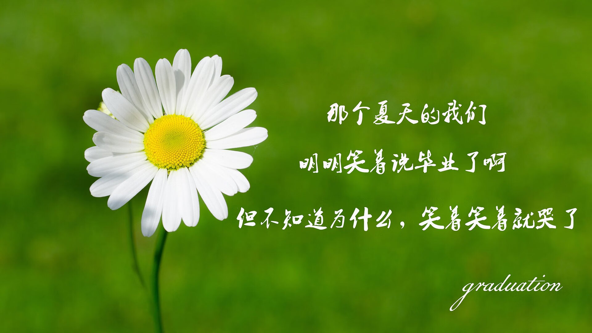 墨西哥马术协会与亚洲马术协会建立合作关系，推动区域发展。，墨西哥马拉松运动员