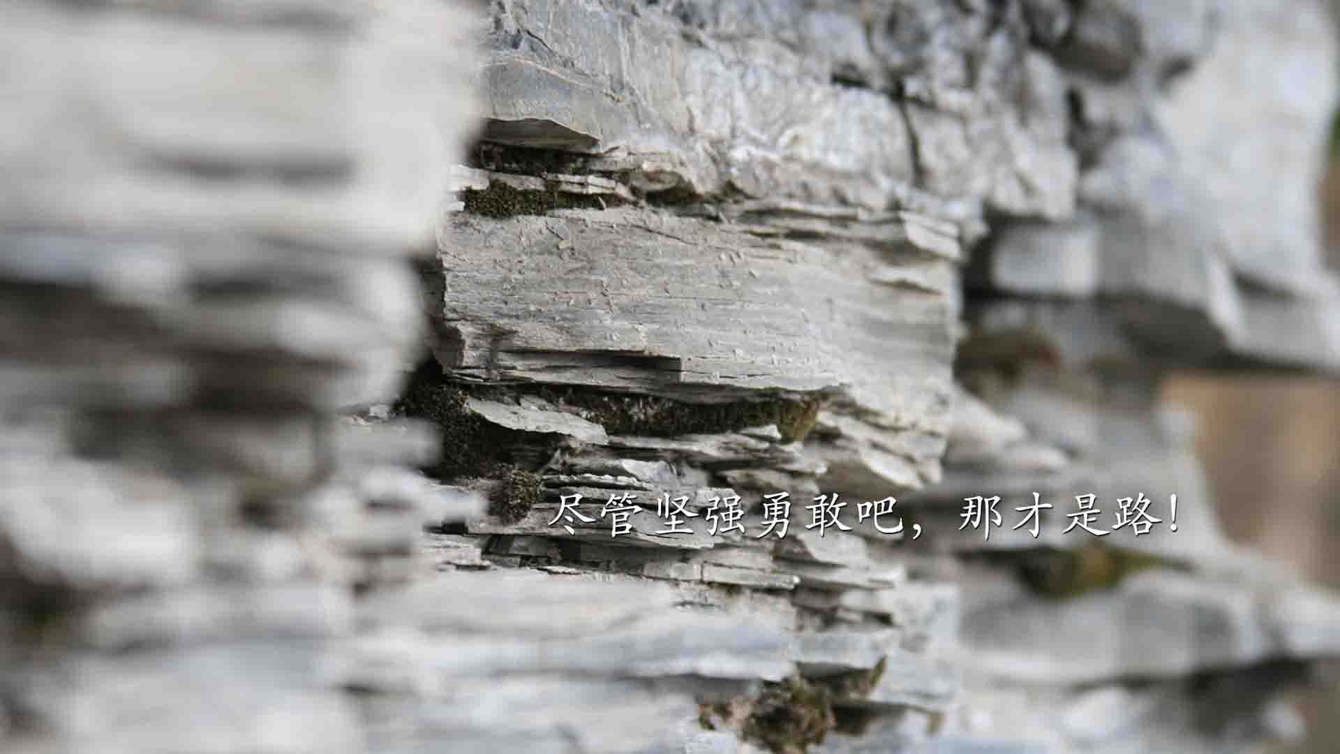 现场氛围热烈：球迷欢呼不断，气氛火爆！，球队气氛