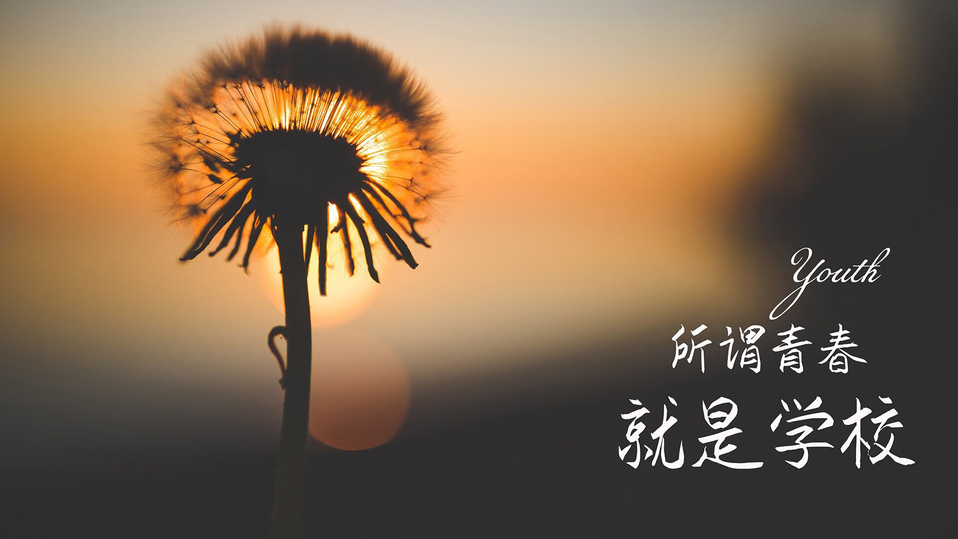 T1选手体能训练成果显著，t1训练赛在哪看直播