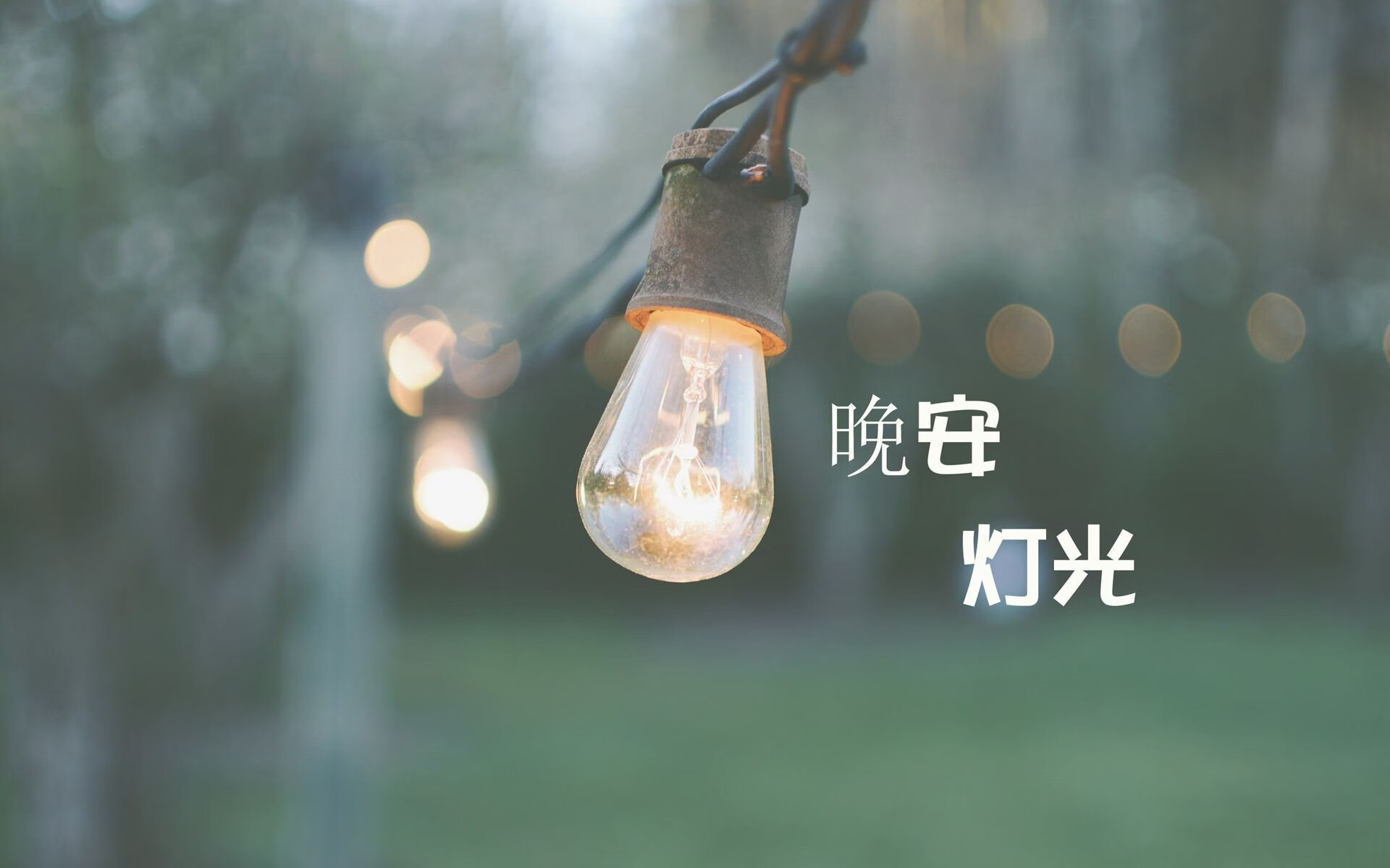 中国跳水梦之队包揽前四，施廷懋再次夺金，中国跳水梦之队全集